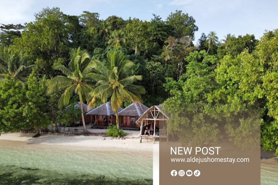 Discover the Beauty of Raja Ampat with Aldejus Homestay