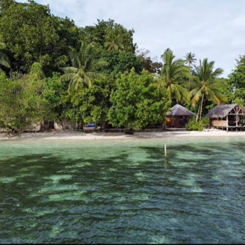 Gallery Aldejus Homestay (33)